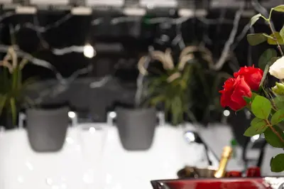 a group of potted plants on a table with a red rose at farnese jacuzzi apartment in Rome