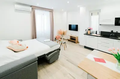 a large room with a bed and a kitchen at Maison Pesca in Rome