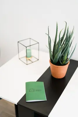 a black table with a plant and a sign on it at Maison Salvia in Rome