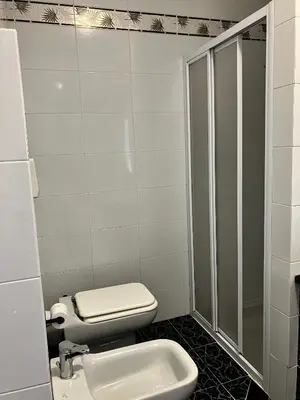 a bathroom with a toilet and a shower and a sink at Ulisse home in Rome