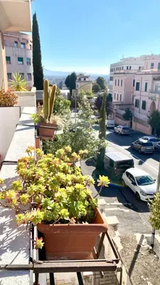 a group of potted plants on a balcony at A&G central stay in Rome