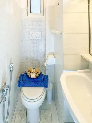 a bathroom with a toilet and a bath tub at Vatican Art Apartment in Rome