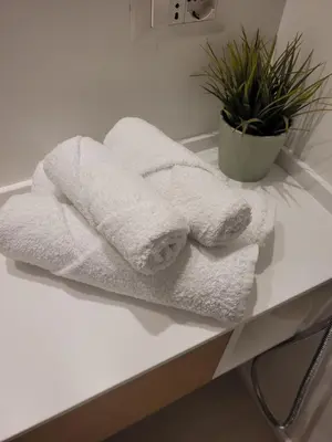 a pile of towels sitting on a counter in a bathroom at Mini Loft MaDi' in Rome