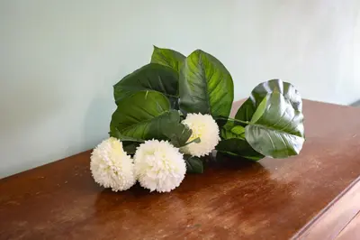 a group of white flowers and green leaves on a table at Domus Antica Trastevere in Rome