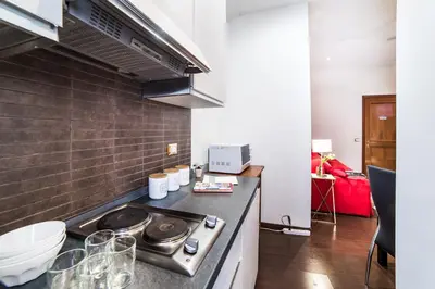 a kitchen with a stove and a counter top at Sant'Angelo Apartments in Rome