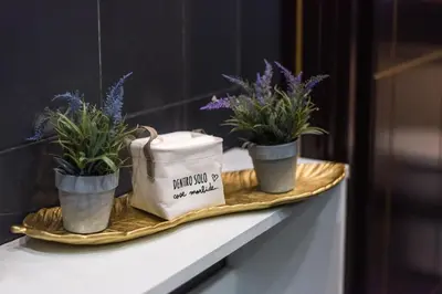 three potted plants sitting on a shelf with a table at Trastevere suites Luxury Garden Retreat in Rome