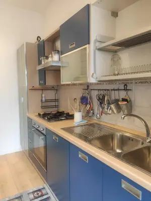 a kitchen with blue cabinets and a stainless steel sink at Anna Lucia's Flat vicino a Trastevere e al San Camillo in Rome