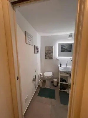 a small bathroom with a toilet and a sink at Vatican Almond Tree Penthouse in Rome