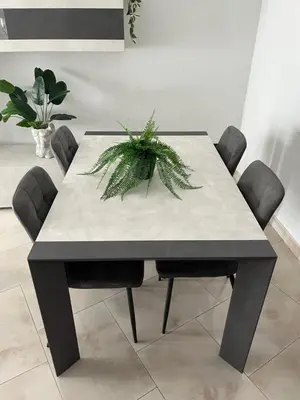 a dining room table with a plant on top of it at ALGA Roma in Rome