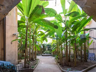 a row of bamboo plants in a hallway at Vatican Luxury Apartment in Rome
