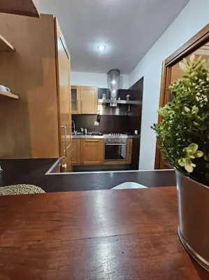 a kitchen with a wooden table with a potted plant at St Peter central apartment in Rome
