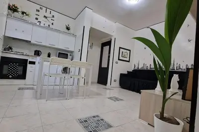a kitchen and living room with white cabinets and a potted plant at Brik's House in Rome