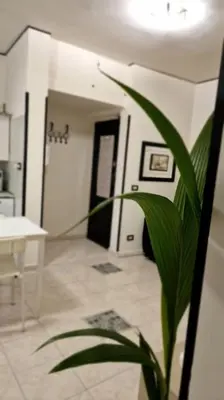 a room with a table and a plant in a room at Brik's House in Rome