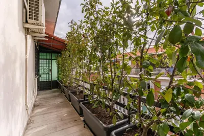 a row of potted plants in a greenhouse at La Casa di Cesare in Rome