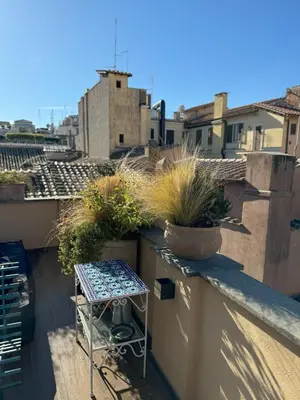 a small balcony with potted plants and a stool at Pantheon Gabbianina Home in Rome
