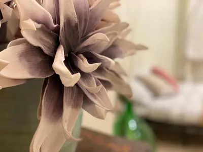 a close up of a purple flower in a vase at La Casa oltre il Parco in Rome