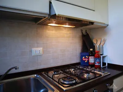 a kitchen counter with a stove and a sink at Gregory Retreat in Rome