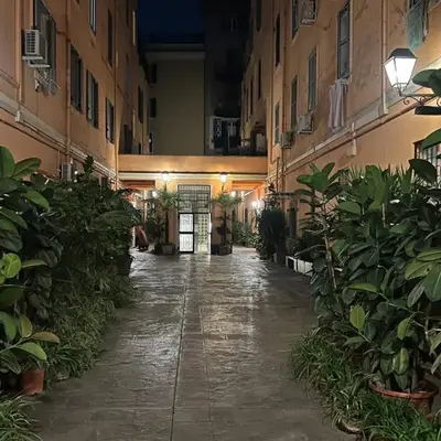 Daisy House
