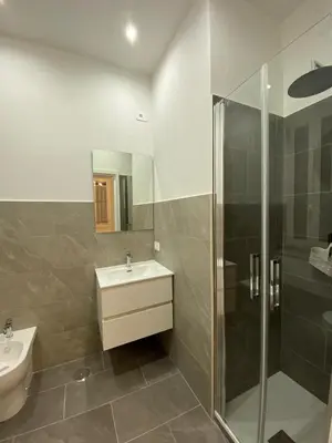 a bathroom with a sink and a shower at Maison Niccolini Gianicolo in Rome