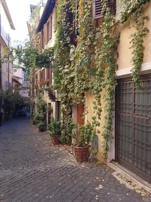 an alley with plants growing on the side of a building at Guest House Garofano in Rome