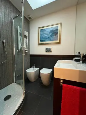 a bathroom with a sink and a toilet and a shower at StazioneSanPietro53 in Rome