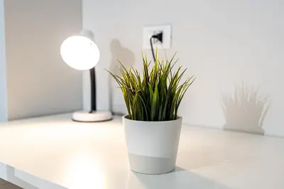 a white vase with a plant on a table at MagicHouse 2 Camere 2 Bagni -15 min Colosseo in Rome