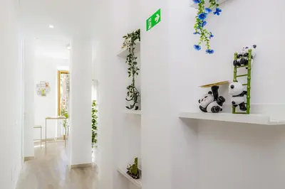 a hallway with white walls and plants on shelves at Green Garden in Rome