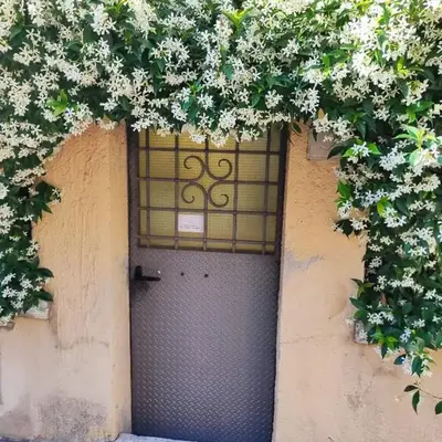 Casa Cartoni
