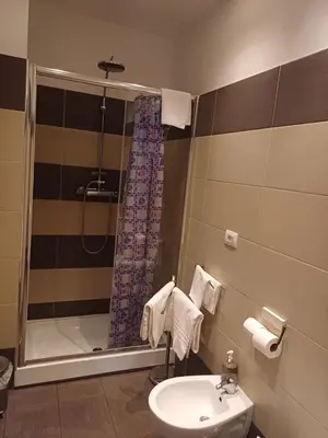 a bathroom with a shower and a sink and a toilet at Room and Apartment Rome in Rome