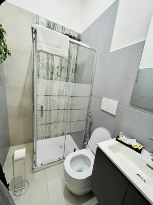 a bathroom with a shower and a toilet and a sink at Domus Giolitti in Rome