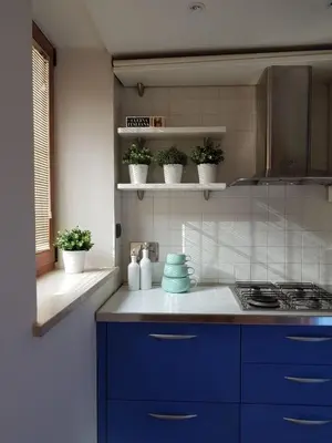 a kitchen with blue cabinets and a stove with plants at Chez David in Rome