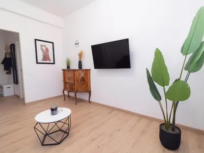 a living room with a tv and a plant at Alloggio Roma San Pietro da Silvia in Rome