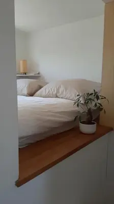 a bedroom with a bed with a plant on a wooden shelf at Amazing studio with terrace in Rome