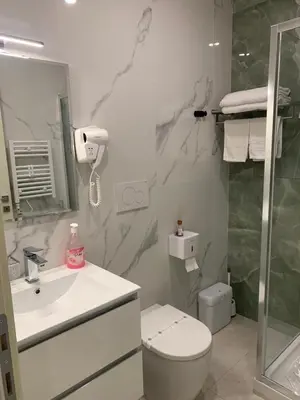 a bathroom with a sink and a toilet and a shower at Vatican Bliss in Rome