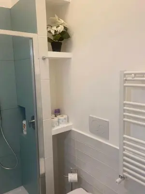 a bathroom with a shower and a toilet with a plant at The Prince Suite in Rome