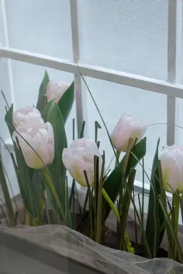 a bunch of pink flowers sitting in a window at GoldStar apartments in Rome
