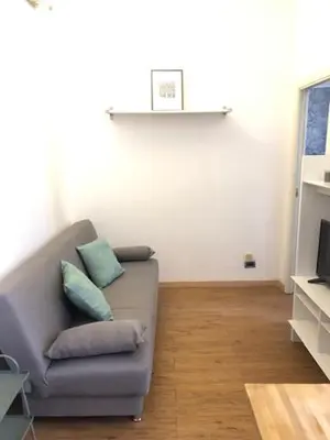 a living room with a gray couch with two pillows at Mattia Home in Rome