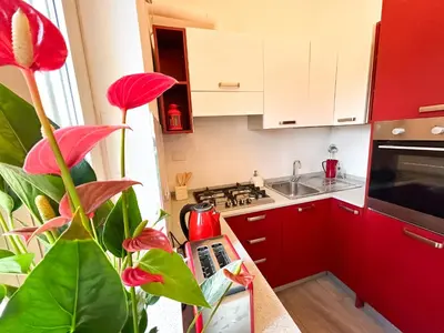 a kitchen with red cabinets and a plant in the foreground at Casa Tigrè in Rome
