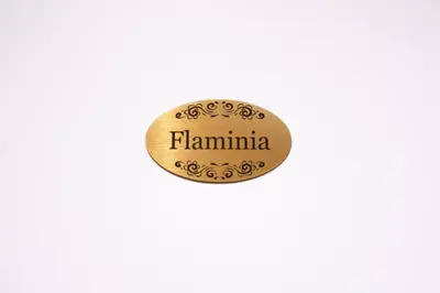 a button with the name of the country of flambinia at Appia - Regina Viarum B&B in Rome