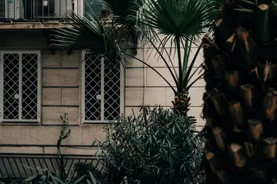 two palm trees in front of a building with windows at Pepe's Place - Guest House Manzoni in Rome
