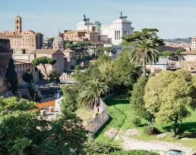 a view of a city with palm trees and buildings at Spacious Penthouse with Stunning Views of Historic Landmarks in Rome