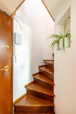 a stairwell with wooden stairs and a plant at Suite Spagna - Terrazza su Piazza di Spagna in Rome