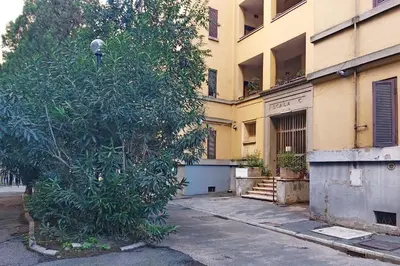 a large tree in front of a building at Olimpia in Rome