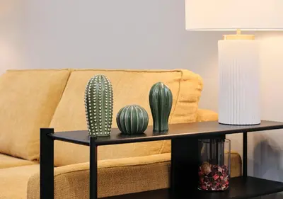 a coffee table with cactuses on top of a couch at COLOSSEO a 15 minuti - Suite Elegante in Centro in Rome