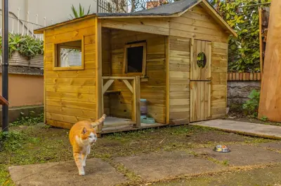 a dog standing in front of a dog house at Villa Gatta in Rome