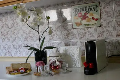 a kitchen counter with a vase of flowers and a microwave at New Green Hill Apartment - Colli Portuensi in Rome