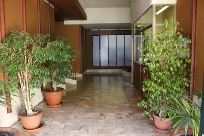 a hallway with potted plants in pots in a building at New Green Hill Apartment - Colli Portuensi in Rome