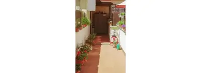 a corridor of a house with plants at St. Peter Sweets in Rome