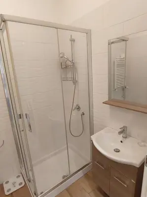 a bathroom with a shower and a sink at Annalisa Home in Rome