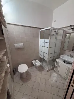 a bathroom with a toilet and a shower and a sink at Sophia s Home in Rome